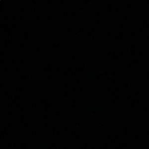 Meet your Posher, Branch